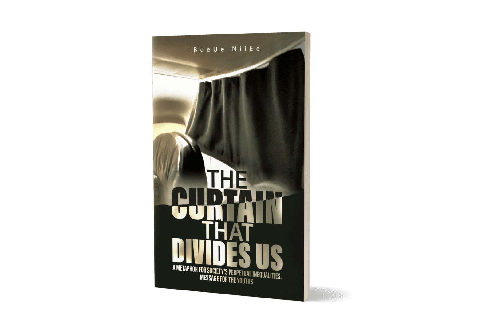 A book cover with the title " the curtain that divides us ".